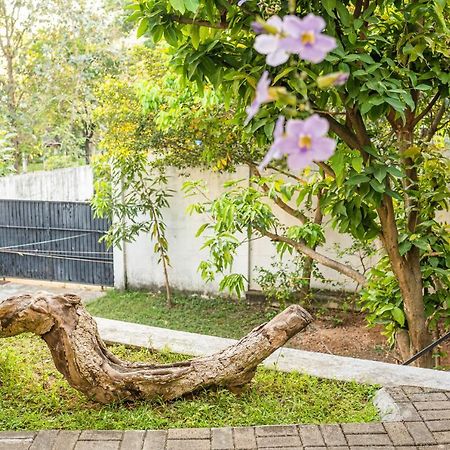 Battaramulla Boutique Villa Шри Джайеварденепура Кота Екстериор снимка